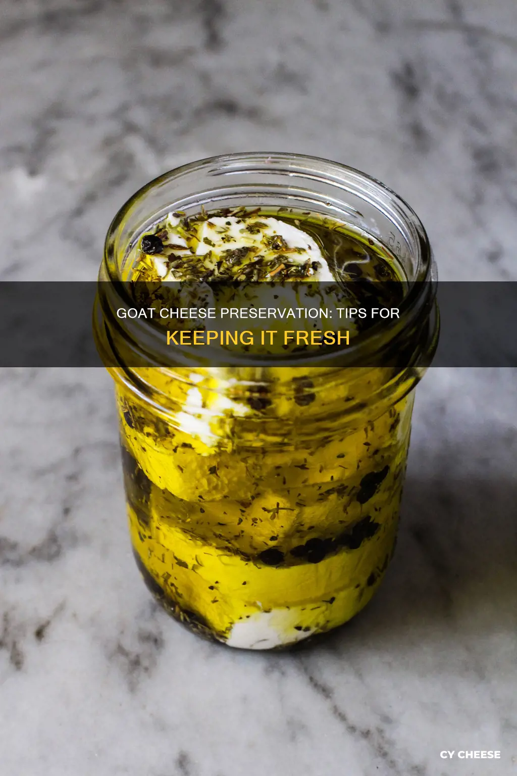 how to preserve goat cheese