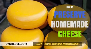 Mastering Homemade Cheese Preservation: Tips for Long-Lasting Freshness