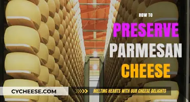 Preserving Parmesan: Tips to Keep Your Cheese Fresh