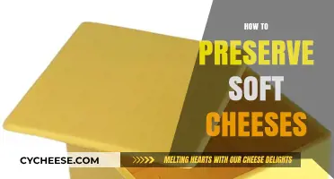 Mastering Soft Cheese Storage: Tips for Freshness and Flavor Preservation