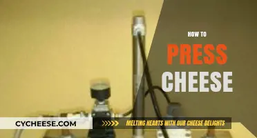 Mastering the Art of Pressing Cheese: Tips for Perfect Texture