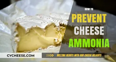 Effective Strategies to Prevent Ammonia in Cheese Production