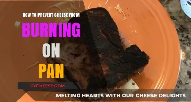 Prevent Cheese Burn: Easy Tips for Perfect Pan Melting