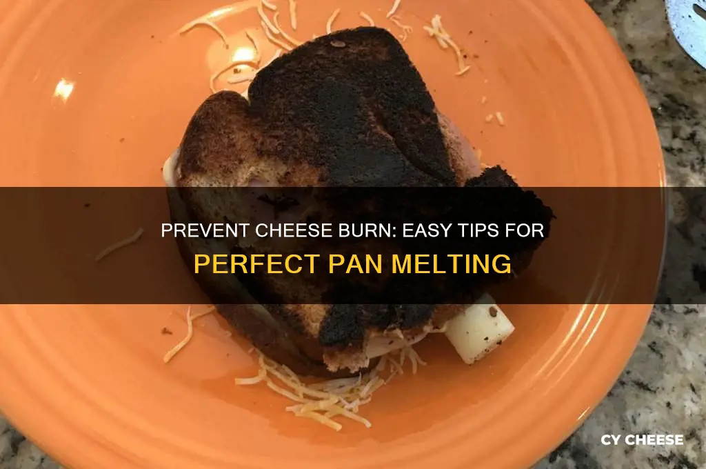 how to prevent cheese from burning on pan