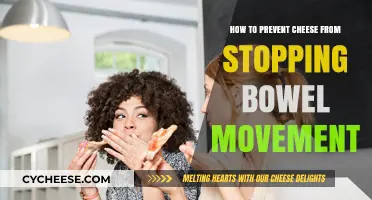 Prevent Cheese-Induced Constipation: Tips for Smooth Digestion and Bowel Movements