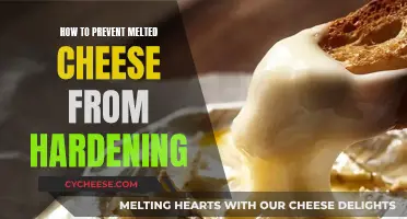Keep Cheese Gooey: Tips for Melting Magic