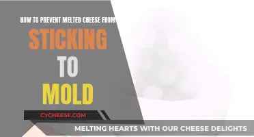 Cheese-Lovers' Guide: Preventing Melted Cheese from Sticking to Mold