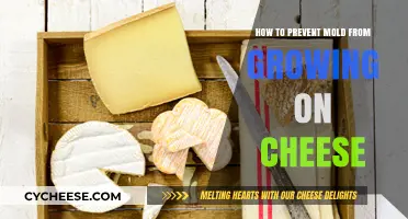 Effective Tips to Keep Mold Off Your Cheese and Fresh