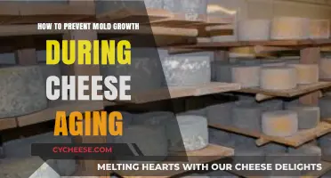 Preventing Mold Growth: Essential Tips for Aging Cheese Successfully