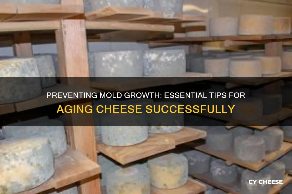 how to prevent mold growth during cheese aging