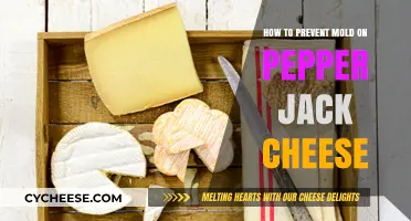 Prevent Mold on Pepper Jack Cheese: Effective Storage Tips and Tricks
