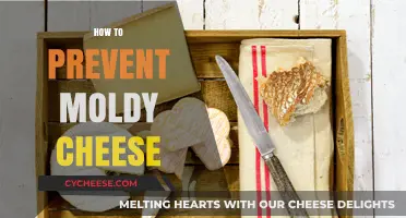 Effective Tips to Keep Your Cheese Fresh and Mold-Free