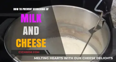 Prevent Scorching: Tips for Perfect Milk and Cheese Preparation