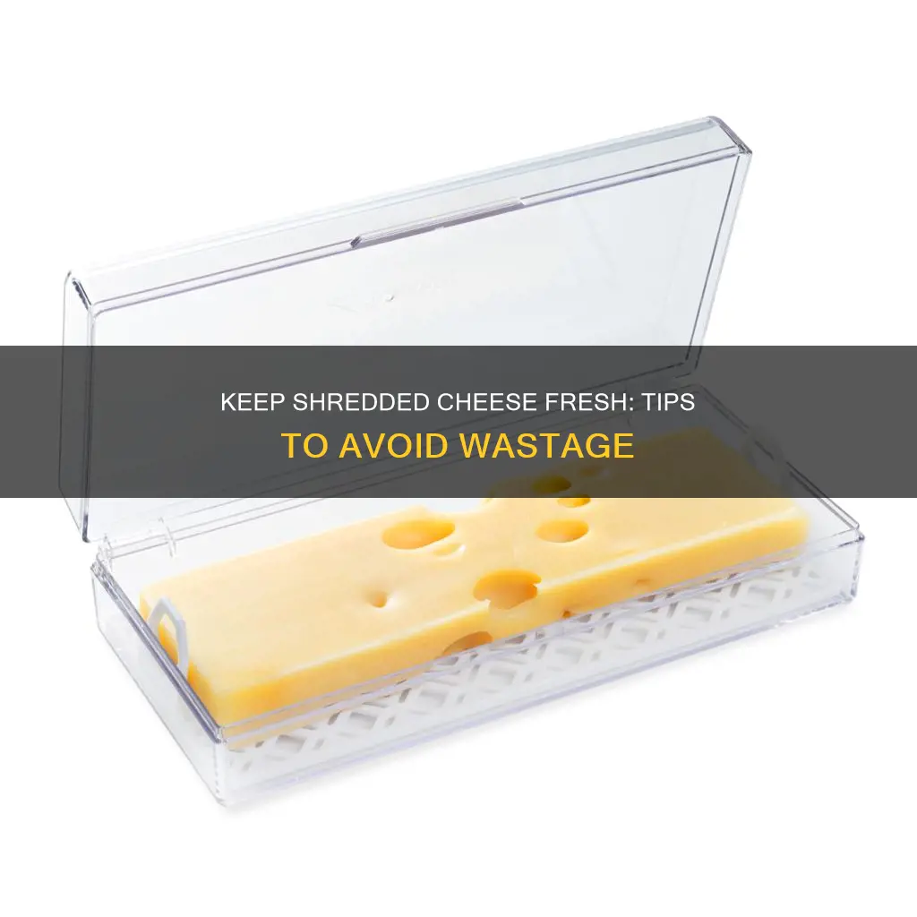 how to prevent shredded cheese from going bad
