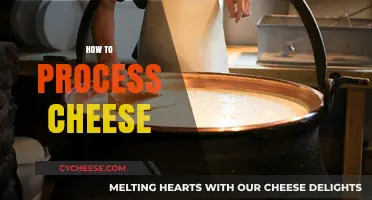 Mastering Cheese Processing: Techniques, Tips, and Tools for Perfect Results