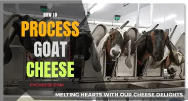 Mastering the Art of Goat Cheese: A Guide to Perfect Processing