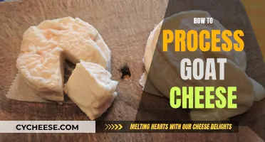 Processing Goat Cheese: A Step-by-Step Guide for Beginners