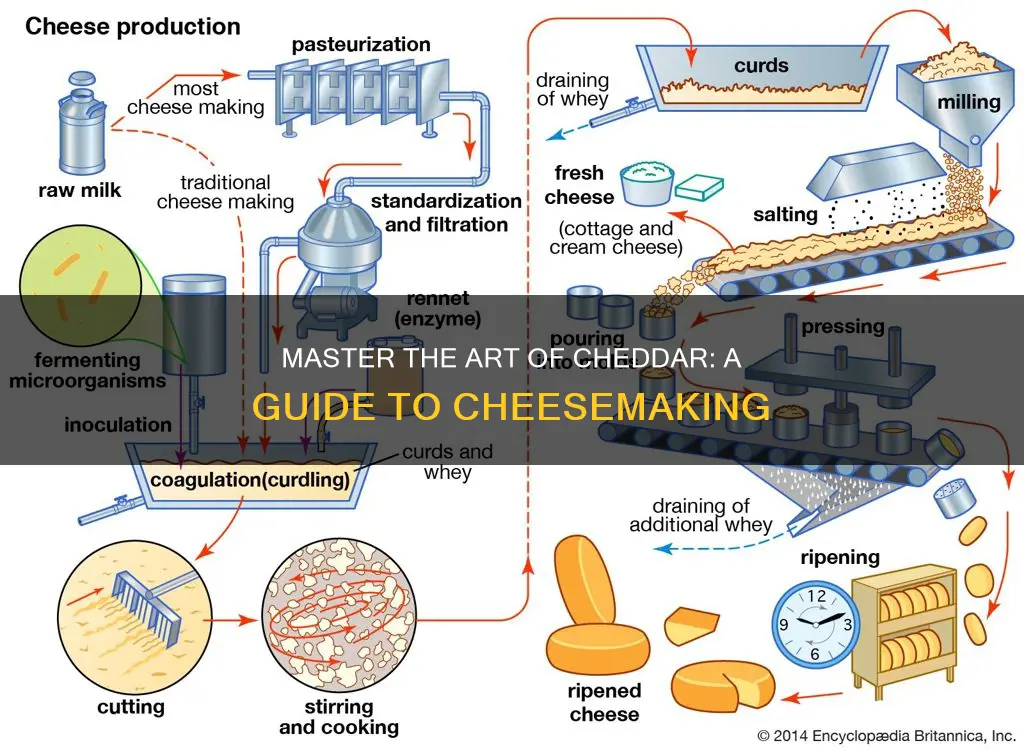 how to produce cheddar cheese