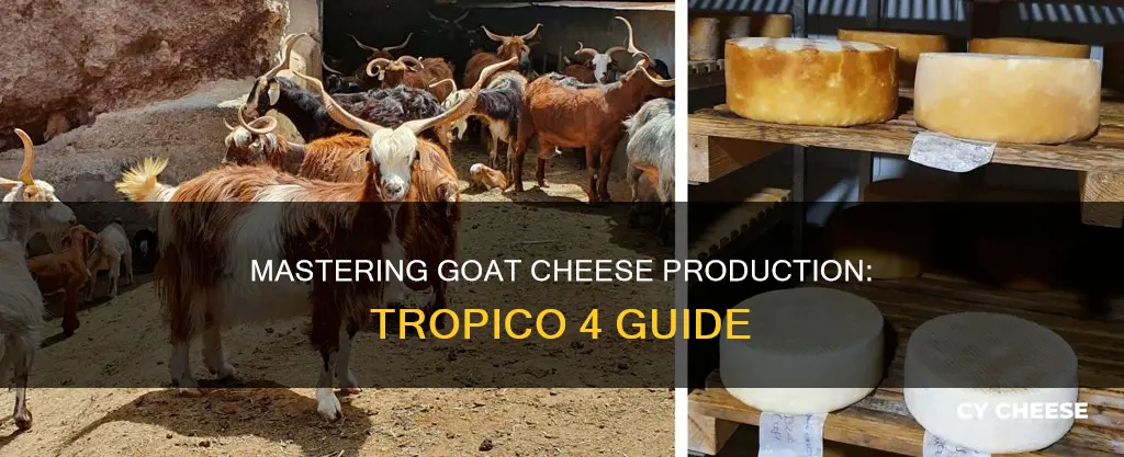 how to produce goat cheese tropico 4