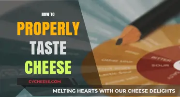 Mastering the Art of Cheese Tasting: A Guide to Perfect Palate Pleasure