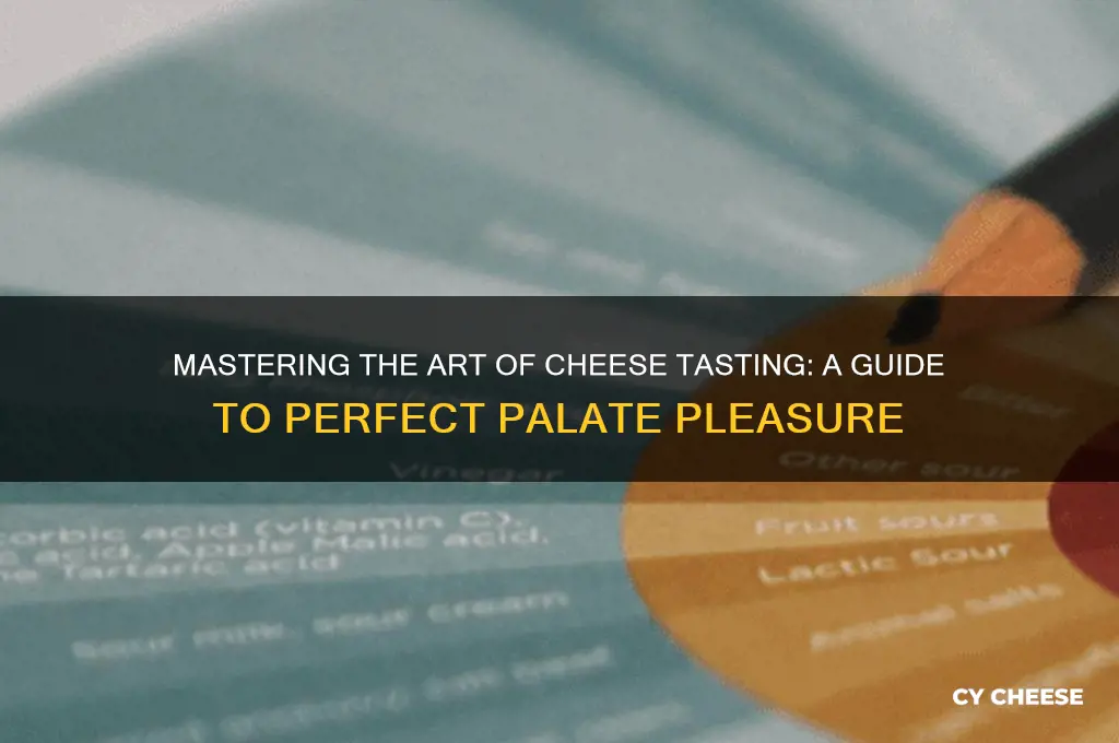 how to properly taste cheese