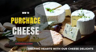 Mastering the Art of Buying Cheese: A Guide to Perfect Purchases