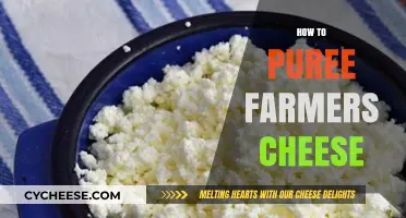 Mastering Creamy Pureed Farmers Cheese: Simple Steps for Perfect Texture