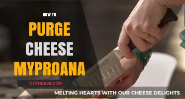 Effective Cheese Purging Tips for Myproana Users: A Comprehensive Guide