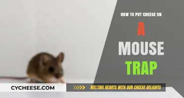 The Perfect Mousetrap: Luring with Cheese