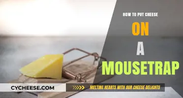 The Perfect Mousetrap: Cheese Placement Strategies