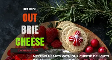 The Perfect Brie: How to Serve it Right