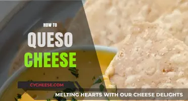 Mastering the Art of Creamy, Flavorful Queso Cheese at Home