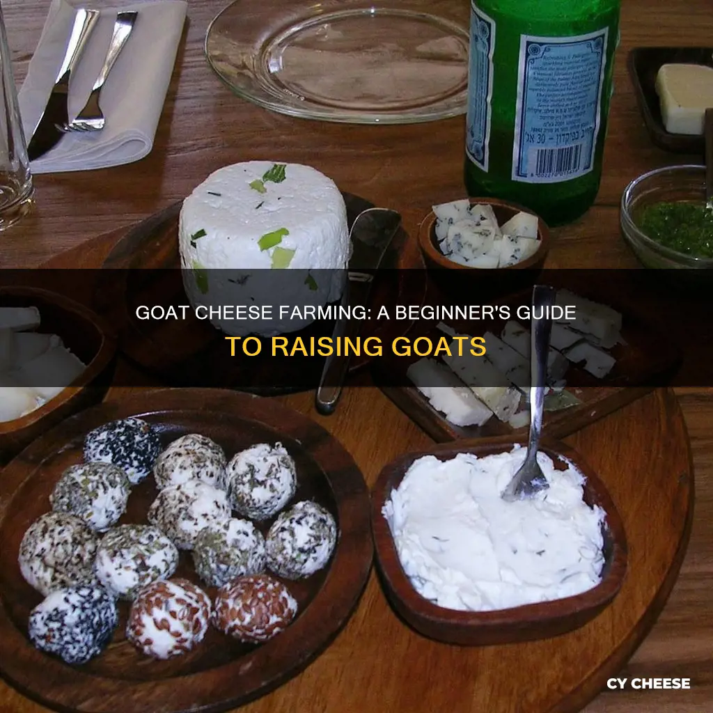how to raise goats for cheese