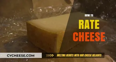 Mastering the Art of Cheese Rating: A Connoisseur's Guide