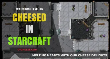 Reacting to Cheeses in StarCraft: A Guide