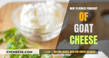 Tame the Tangy: Tips to Mitigate Goat Cheese's Pungent Edge