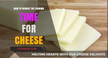 Quick-Cook Cheese: Time-Saving Techniques for Cheesy Goodness