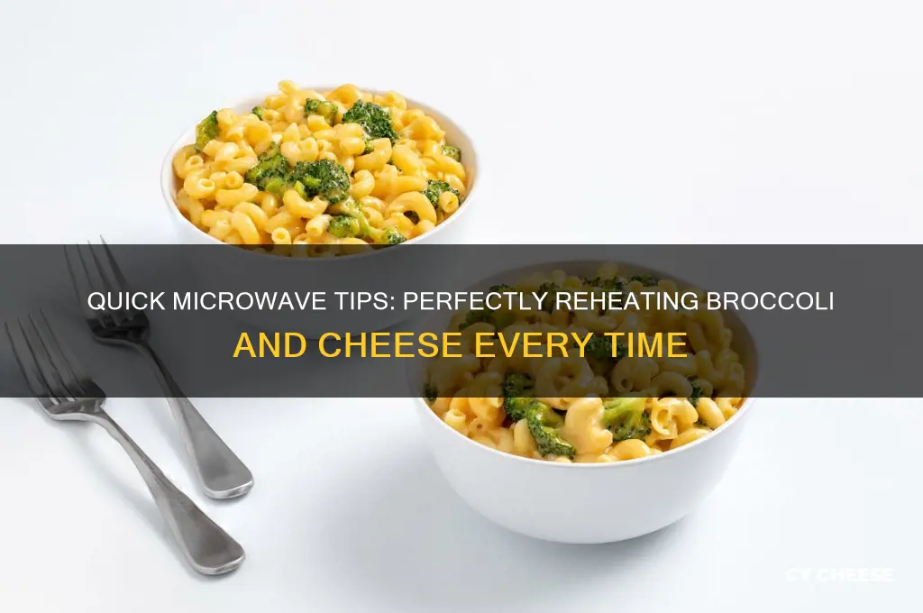 how to reheat broccoli and cheese in the microwave