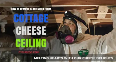 Effective Ways to Remove Black Mold from Cottage Cheese Ceilings