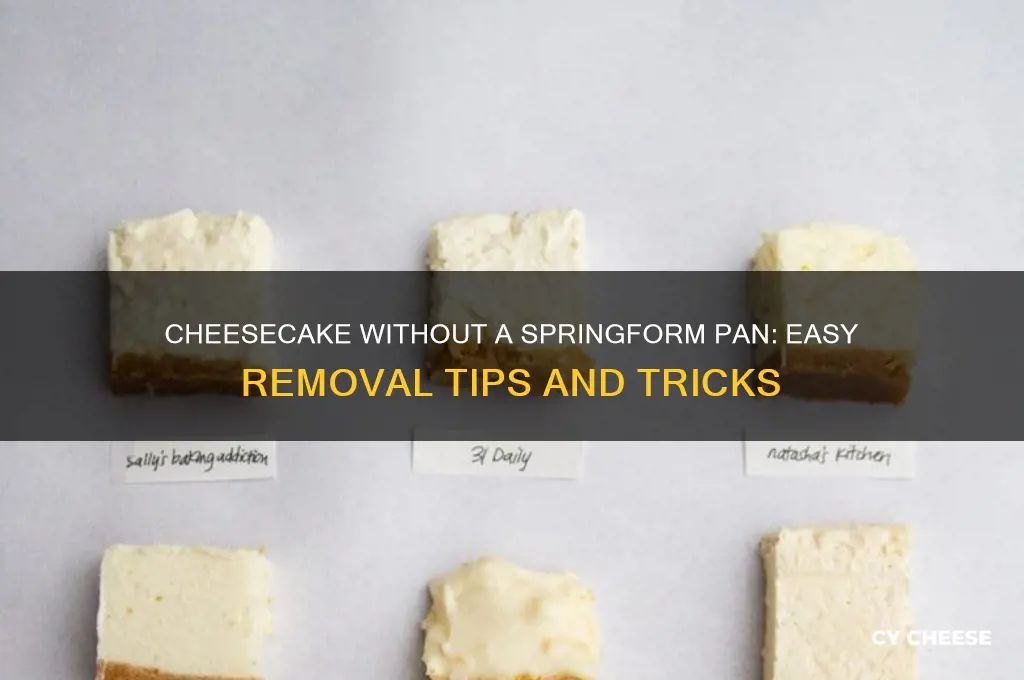 how to remove cheese cake if you dont have springpan