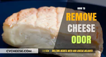 Effective Ways to Eliminate Cheese Odor from Your Home or Hands
