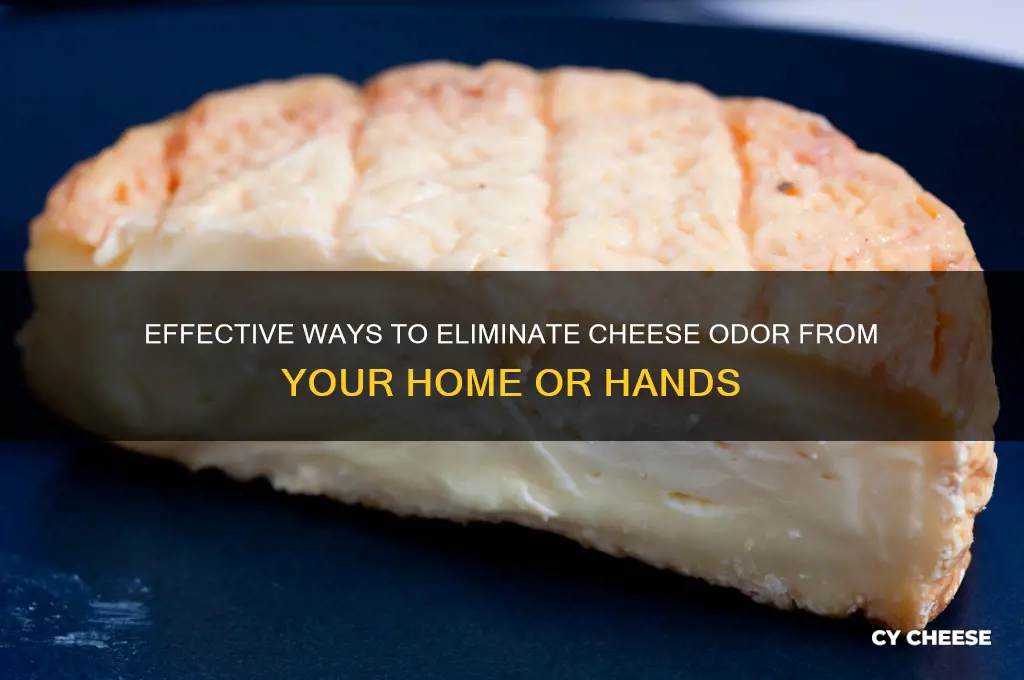 how to remove cheese odor