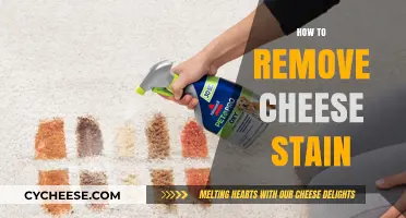 Effective Tips to Remove Cheese Stains from Fabric and Surfaces