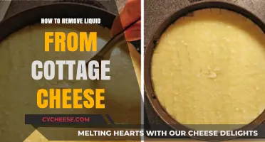 Simple Tips to Drain Excess Liquid from Cottage Cheese Easily