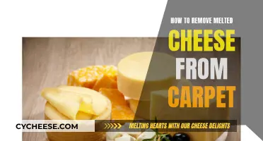 Easy Ways to Remove Melted Cheese Stains from Carpets