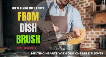 Easy Ways to Clean Melted Cheese off Your Dish Brush