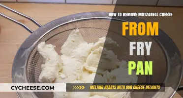 Easy Tips to Remove Melted Mozzarella Cheese from Your Fry Pan