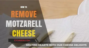 Effective Tips for Removing Mozzarella Cheese from Surfaces and Clothes