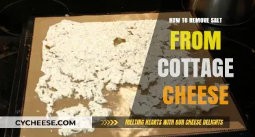 Easy Steps to Remove Excess Salt from Cottage Cheese at Home