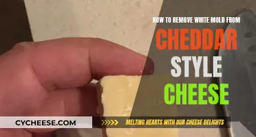 Tackling White Mold: A Guide to Saving Cheddar Style Cheese